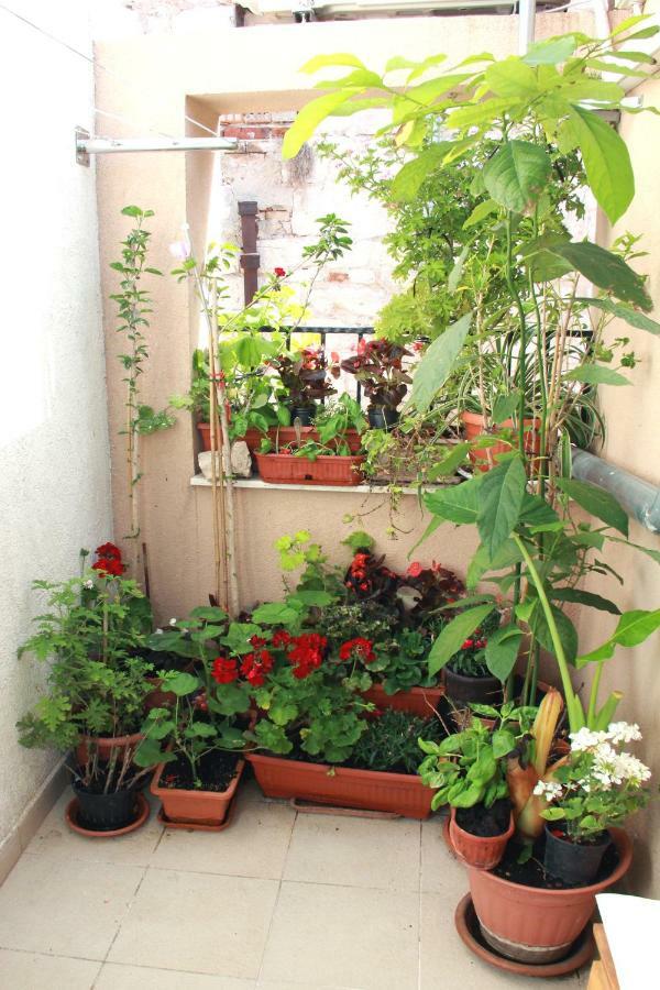 Apartment Bucevic Sibenik Bagian luar foto